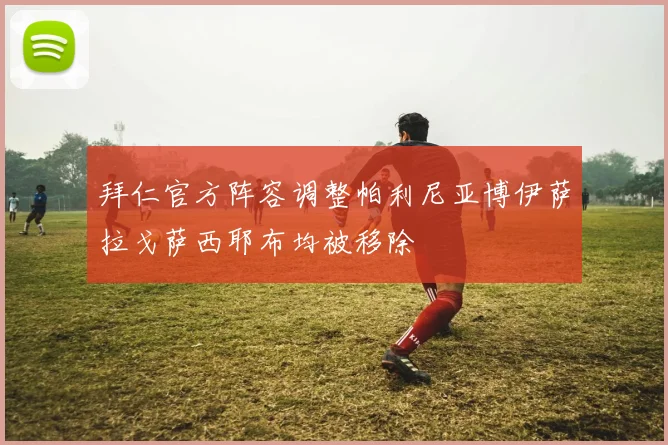 拜仁官方阵容调整帕利尼亚博伊萨拉戈萨西耶布均被移除